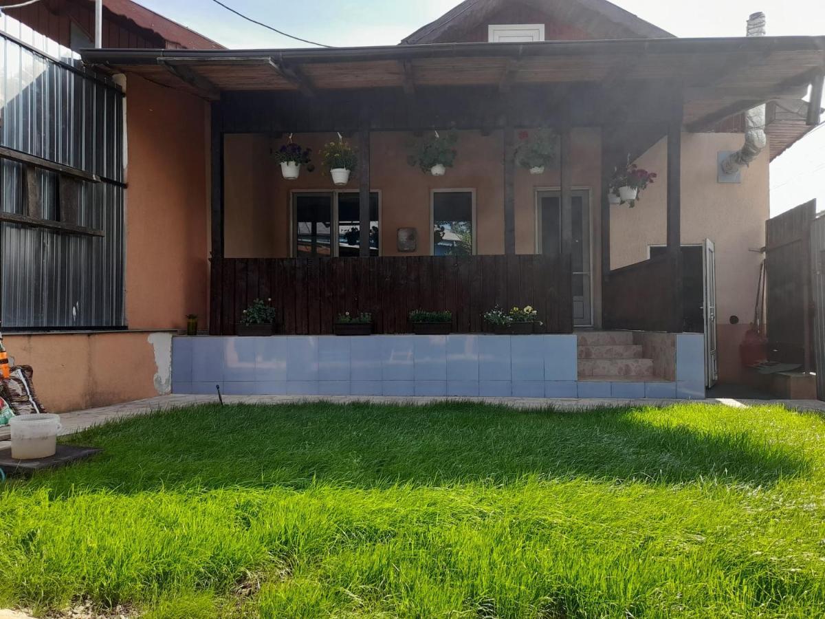 טולצ'אה Central City House מראה חיצוני תמונה