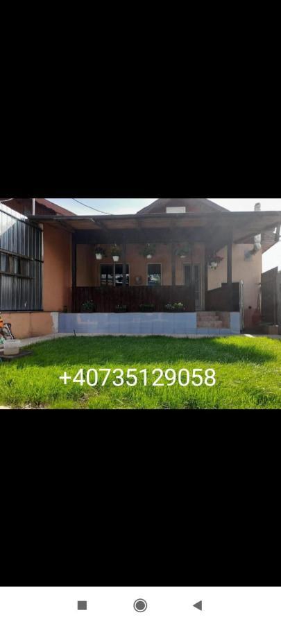 טולצ'אה Central City House מראה חיצוני תמונה